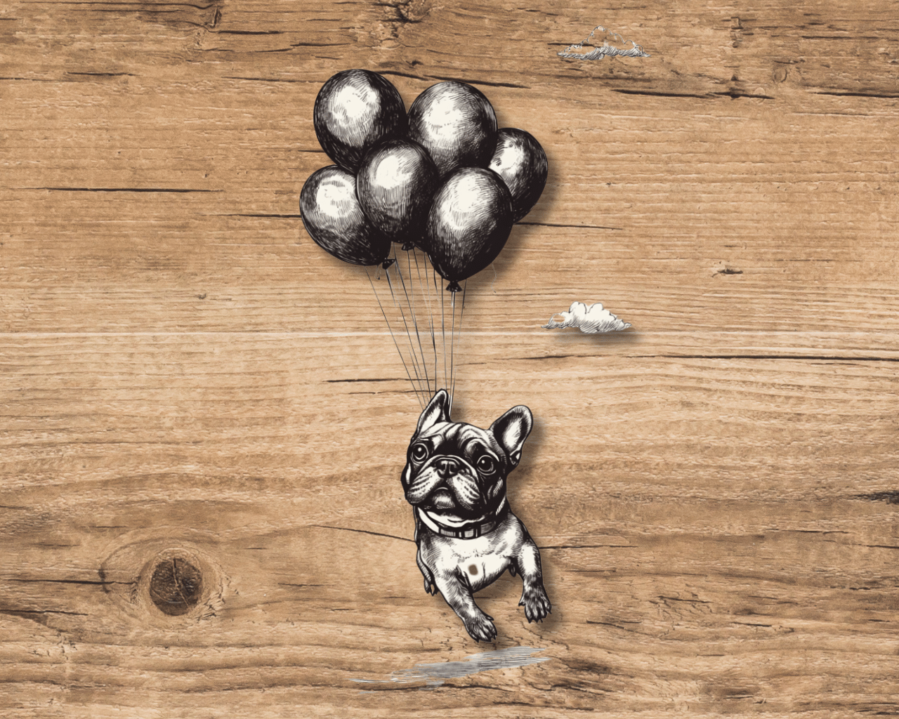 Balloon(Art Canvas)