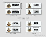 画像をギャラリービューアに読み込む, STICKER(DONUT) Assorted Set
