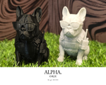 画像をギャラリービューアに読み込む, OBJE(ALPHA.)
