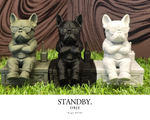 画像をギャラリービューアに読み込む, OBJE(STANDBY.)
